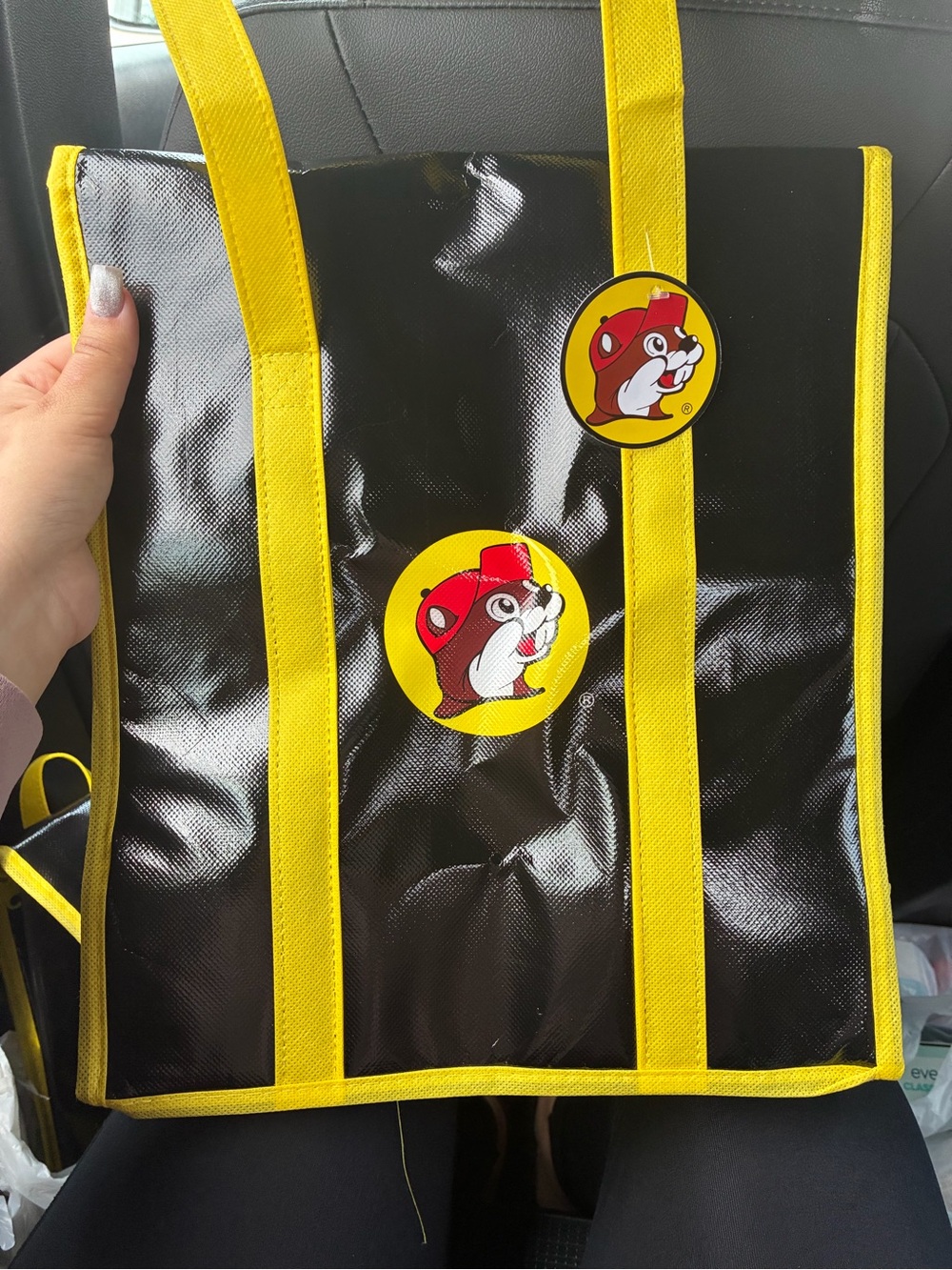 Buc-ee’s Insulated Cooler Tote Bag – New with Tags